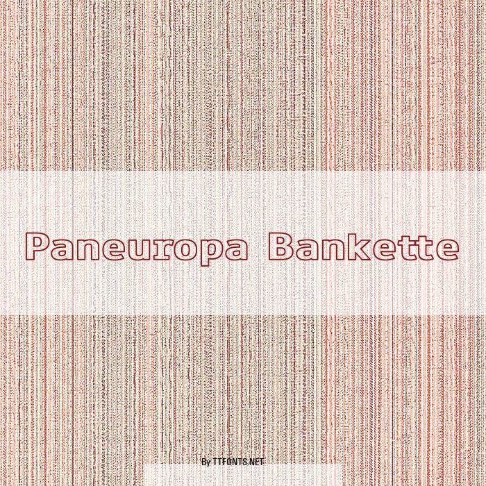 Paneuropa Bankette example